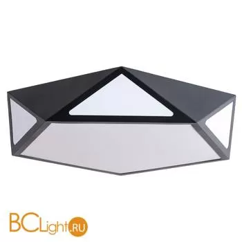 Потолочный светильник Arte Lamp Multi-Piazza A1931PL-1BK