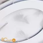 Потолочный светильник Arte Lamp Multi-Piuma A1397PL-1CL - Фото 1