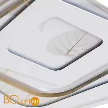 Потолочный светильник Arte Lamp Multi-Piuma A1399PL-1CL - Фото 1