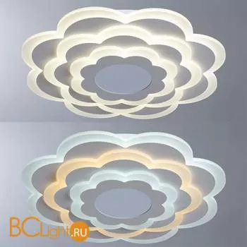 Потолочный светильник Arte Lamp Multi-Space A1431PL-1WH - Фото 0