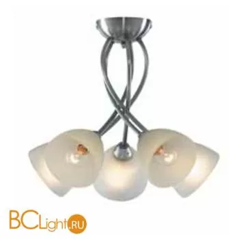 Потолочная люстра Arte Lamp NIKKI A2576PL-5SS