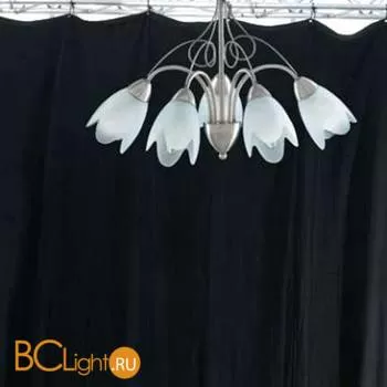 Потолочная люстра Arte Lamp NIKKI A4900PL-5SS