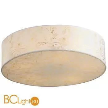 Потолочный светильник Arte Lamp Nuvola A9522PL-3WG