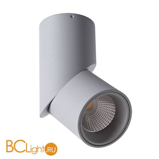 Накладной потолочный точечный светильник (спот) Arte Lamp Orione A7717PL-1GY