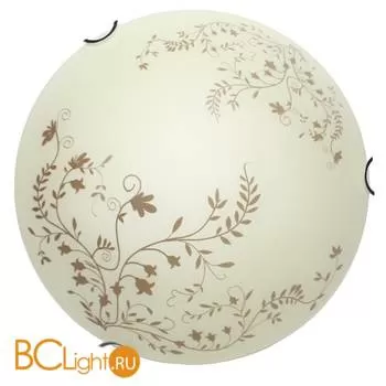 Настенно-потолочный светильник Arte Lamp Ornament A4920PL-1CC