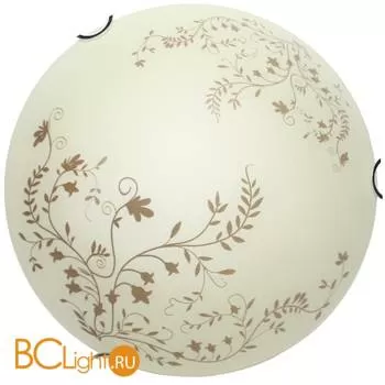 Настенно-потолочный светильник Arte Lamp Ornament A4920PL-2CC