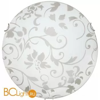 Настенно-потолочный светильник Arte Lamp Ornament A4120PL-2CC