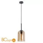 Подвесной светильник Arte Lamp Paio A7015SP-1BK