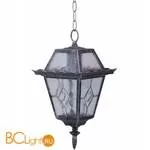 Подвесной светильник уличный Arte Lamp PARIS A1355SO-1BS