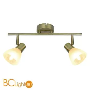 Спот (точечный светильник) Arte Lamp Parry A5062AP-2AB