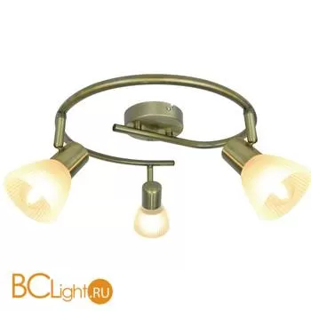 Спот (точечный светильник) Arte Lamp Parry A5062PL-3AB