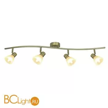 Спот (точечный светильник) Arte Lamp Parry A5062PL-4AB