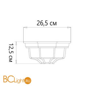 Уличный потолочный светильник Arte Lamp Pegasus A3100PL-1AC - Схема