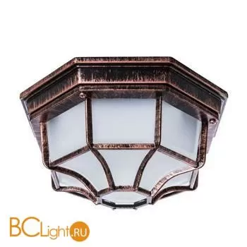 Уличный потолочный светильник Arte Lamp Pegasus A3100PL-1AC