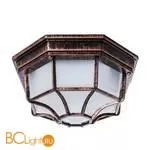 Уличный потолочный светильник Arte Lamp Pegasus A3100PL-1AC