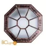 Уличный потолочный светильник Arte Lamp Pegasus A3100PL-1AC - Фото 0