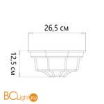 Уличный потолочный светильник Arte Lamp Pegasus A3100PL-1AC - Схема