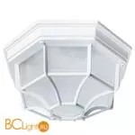 Уличный потолочный светильник Arte Lamp Pegasus A3100PL-1WH