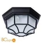 Уличный потолочный светильник Arte Lamp Pegasus A3100PL-1BK
