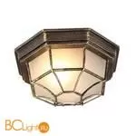 Уличный потолочный светильник Arte Lamp Pegasus A3121PF-1BN