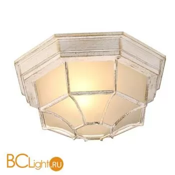 Уличный потолочный светильник Arte Lamp Pegasus A3121PF-1WG