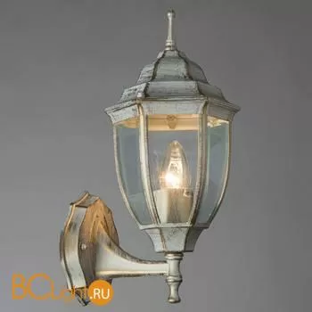 Уличный настенный светильник Arte Lamp Pegasus A3151AL-1WG