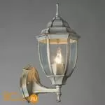 Уличный настенный светильник Arte Lamp Pegasus A3151AL-1WG
