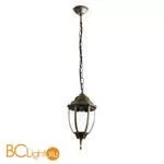 Уличный подвесной светильник Arte Lamp Pegasus A3151SO-1BN - Фото 0