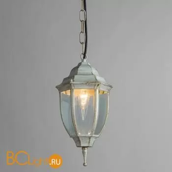 Уличный подвесной светильник Arte Lamp Pegasus A3151SO-1WG - Фото 1