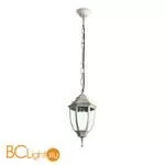 Уличный подвесной светильник Arte Lamp Pegasus A3151SO-1WG - Фото 0