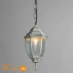 Уличный подвесной светильник Arte Lamp Pegasus A3151SO-1WG - Фото 1