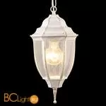 Уличный подвесной светильник Arte Lamp Pegasus A3151SO-1WG