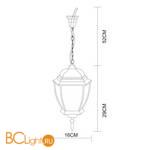 Уличный подвесной светильник Arte Lamp Pegasus A3151SO-1WG - Схема