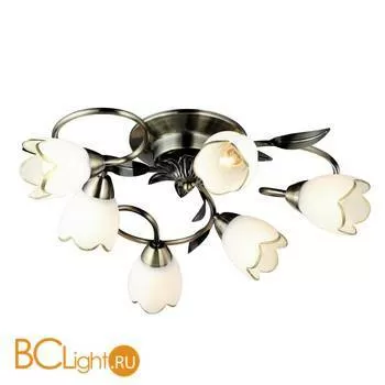 Потолочная люстра Arte Lamp Perce A6061PL-6AB