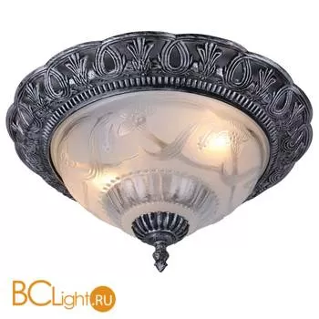Потолочный светильник Arte Lamp Piatti A8001PL-2SB