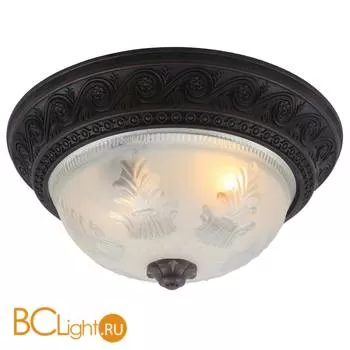 Потолочный светильник Arte Lamp Piatti A8006PL-2CK