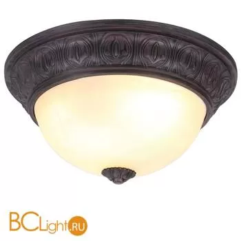Потолочный светильник Arte Lamp Piatti A8007PL-2CK