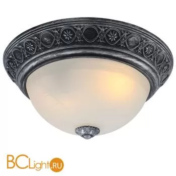 Потолочный светильник Arte Lamp Piatti A8009PL-2SB