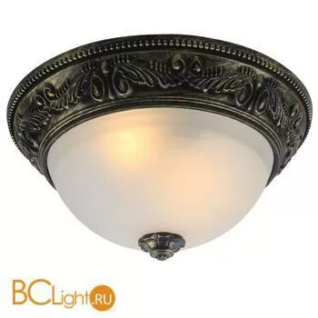 Потолочный светильник Arte Lamp Piatti A8010PL-2AB