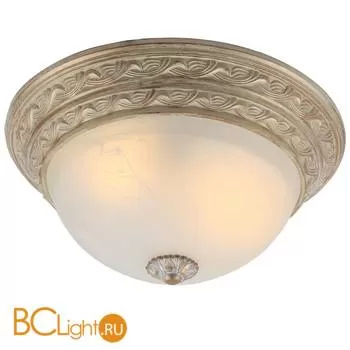 Потолочный светильник Arte Lamp Piatti A8013PL-2WA