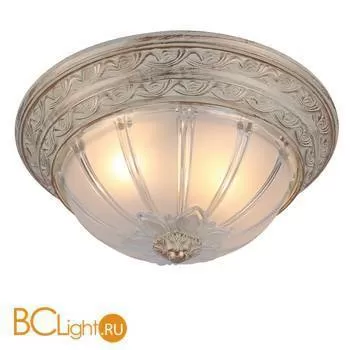 Потолочный светильник Arte Lamp Piatti A8014PL-2WA
