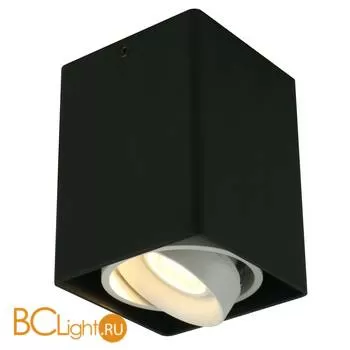 Потолочный светильник Arte Lamp Pictor A5655PL-1BK