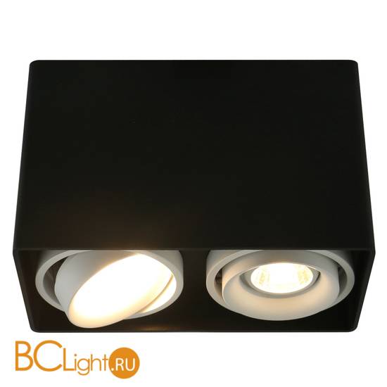 Потолочный светильник Arte Lamp Pictor A5655PL-2BK