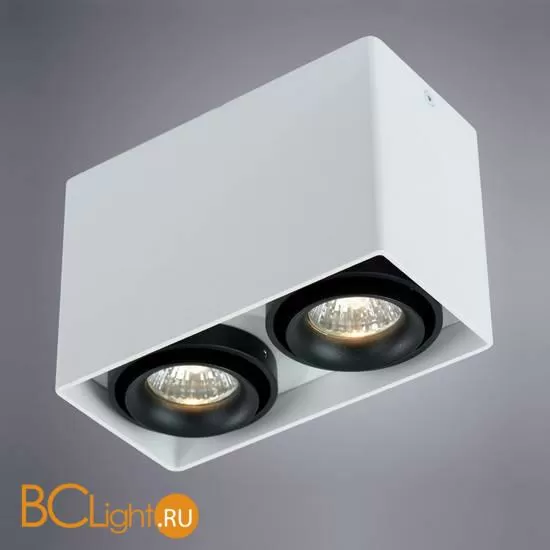 Накладной потолочный точечный светильник (спот) Arte Lamp Pictor A5655PL-2WH