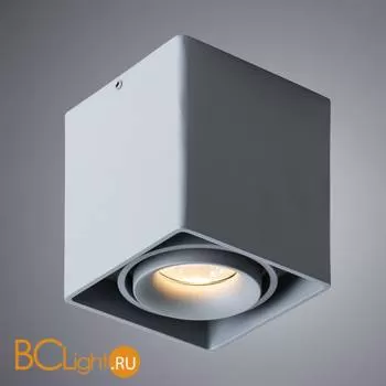 Накладной потолочный точечный светильник Arte Lamp Pictor A5654PL-1GY - Фото 0