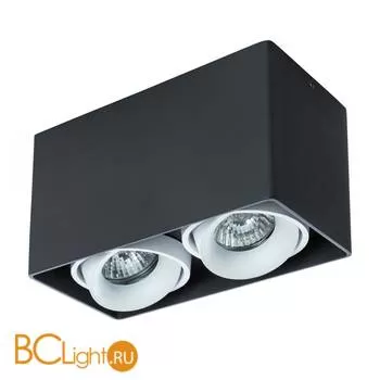Накладной точечный светильник Arte Lamp Pictor A5654PL-2BK