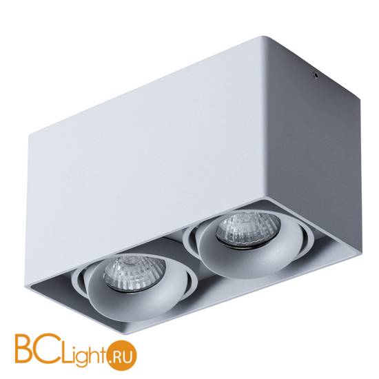 Накладной точечный светильник Arte Lamp Pictor A5654PL-2GY