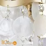Настенный светильник Arte Lamp Pipirima A4065AP-2SG - Фото 1