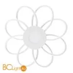 Потолочный светильник Arte Lamp Polli A2528PL-8WH