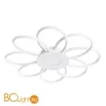 Потолочный светильник Arte Lamp Polli A2528PL-8WH - Фото 0